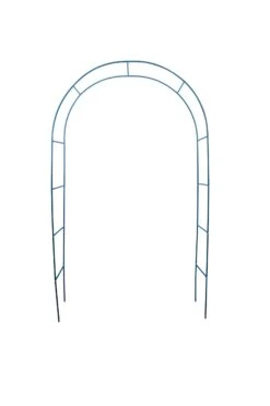 Arco Rosa Arceau De Rosier